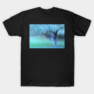 The Orchard T-Shirt